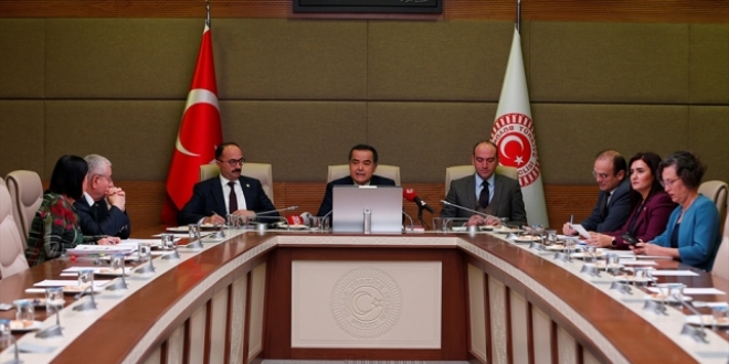 Rabia Naz Vatan'ın ölümünün araştırılması komisyonu