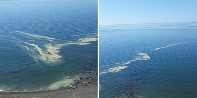 Mersin'de denizdeki renk deiikliinin sebebi ortaya kt