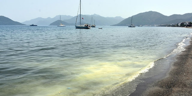 Marmaris'in plajı sarıya büründü! Yetkililerden açıklama