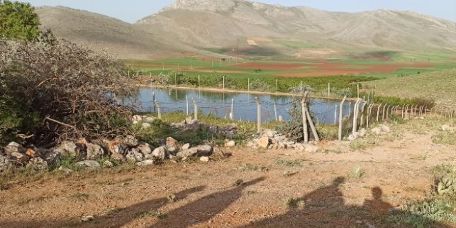 Serinlemek için gölete giren 17 yaşındaki çocuk boğuldu