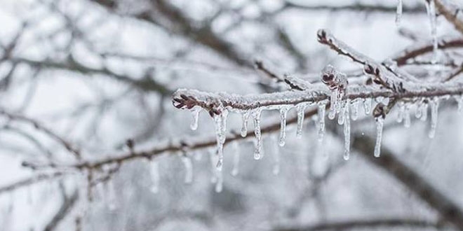 Meteorolojiden 3 bölgedeki çiftçilere 'zirai don' uyarısı