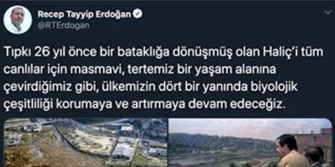 Erdoğan'dan Dünya Biyolojik Çeşitlilik Günü mesajı... Haliç'i hatırlattı