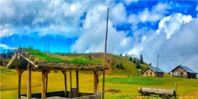 Bolu'da yaylalara gidiş serbest bırakıldı