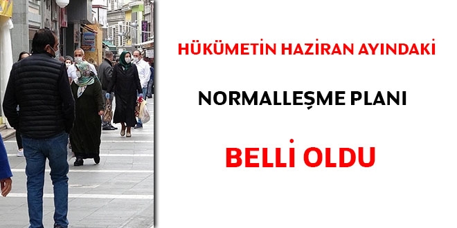 Hükümetin Haziran ayındaki normalleşme planı belli oldu