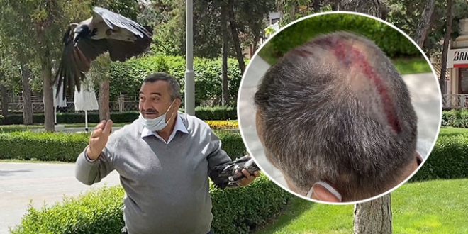 Karga yavrusunu kurtarmak istedi, canını zor kurtardı