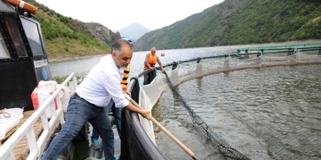 Genel müdürlüğü bıraktı, somon işiyle 500 milyon lira kazanıyor