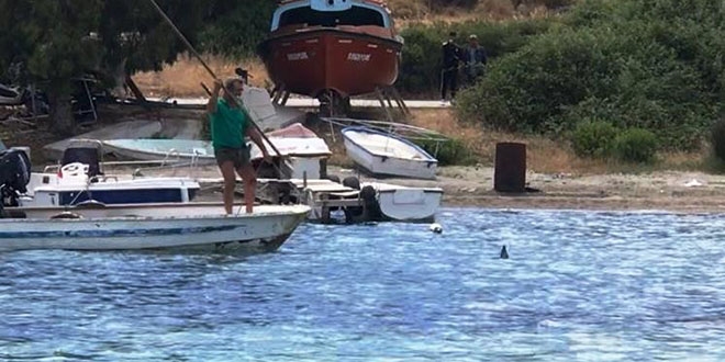 Bodrum'da tepki çeken olay: Mızrakla öldürdü