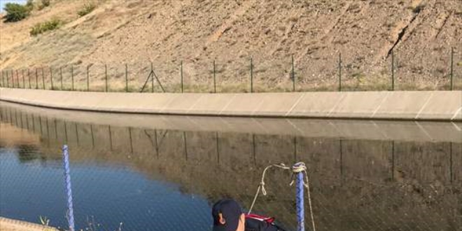 Çorum'da sulama kanalına düşen karacayı jandarma kurtardı