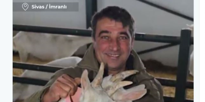 Bataklığa saplanan ineğinin başından ayrılmayan besiciye koyun desteği