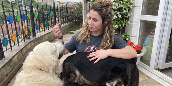 Oyuncu Gamze Topuz'un köpeklerine çivili kemik attılar