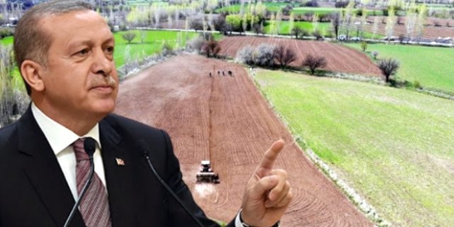 Erdoğan'ın talimatıyla 7 ilde çiftçiye ücretsiz arazi verilecek