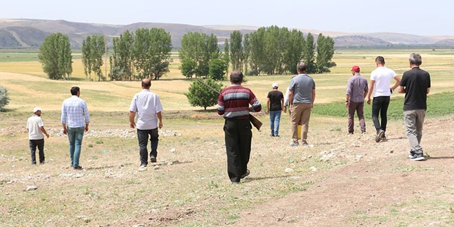 Çorum'da aslan korkusu: Her yerde arıyorlar