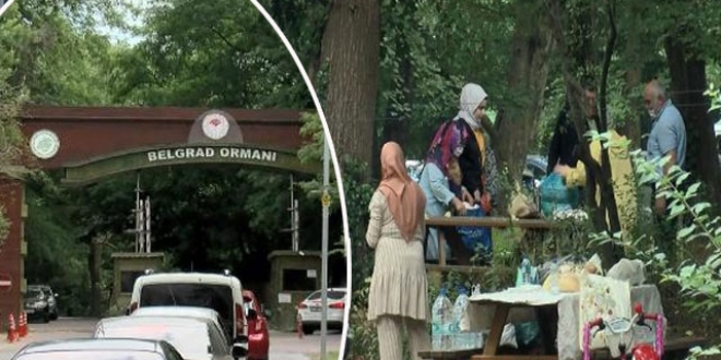 Belgrad Ormanı'na piknikçi akını