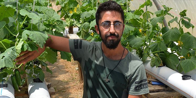 Üniversite öğrencisi, topraksız serada sebze ve meyve üretti