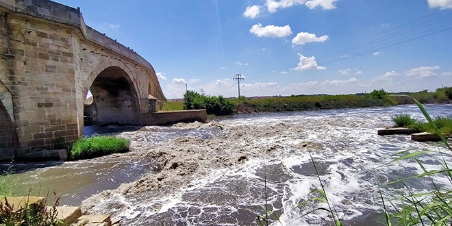 Ergene Nehri, normalleme ile birlikte yeniden kirlendi