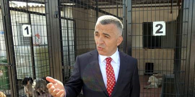 Kırklareli Valisi Bilgin: 12 köpeği katleden şüpheliler tespit edildi