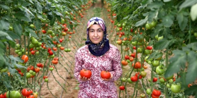 Devletten aldığı 30 bin liralık hibeyle işinin patronu oldu