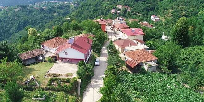 Karadeniz fıkrası gibi mahalle: Yer gök 'sarı'