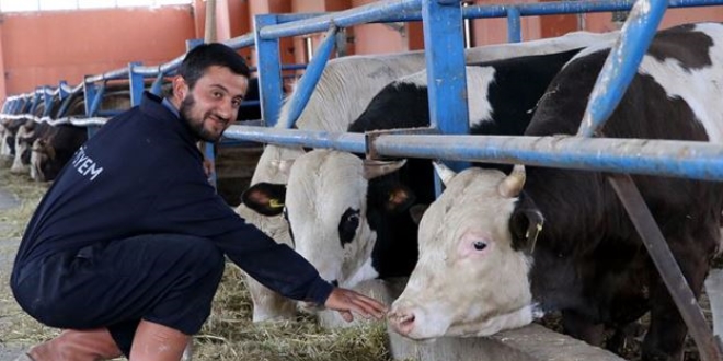 Devlet desteğiyle modern hayvan çiftliğinin sahibi oldu