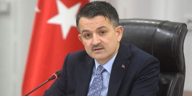 Bakan Pakdemirli: Yangıların 10'da 9'u insan hatasından çıkıyor