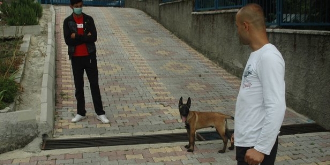 Polis, çalınan köpeği 160 kilometre iz sürerek buldu