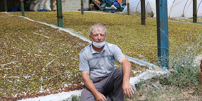 300 kişiye iş imkanı sağlıyor ancak iş yerine elektrik alamıyor