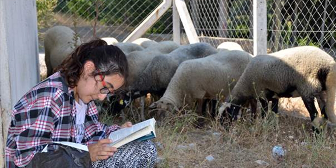 'Kitap kurdu Suzan' bir elinde kitap bir elinde değnek koyun güdüyor