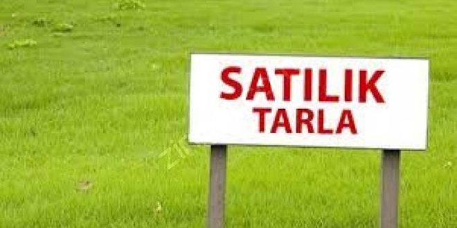 Yılın ilk 6 ayında 182 bin tarla, 154 bin arsa satıldı