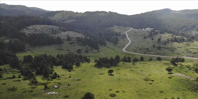 Dumanlı Yaylası izole piknik imkanı sunuyor