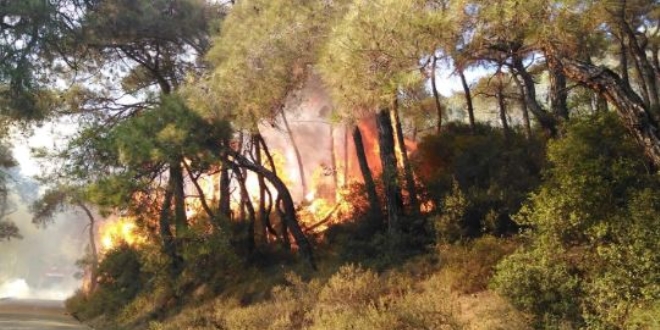 MSB'den Heybeliada'daki orman yangınına ilişkin açıklama