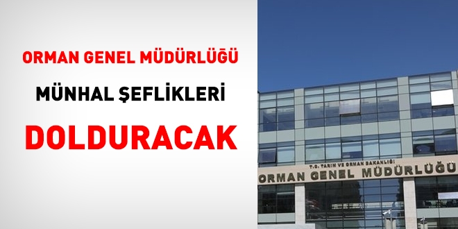 OGM'de münhal şeflikler doldurulacak