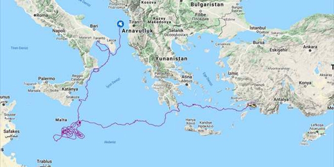 Uydudan izlenen 'Caretta Tuba' bir yılda 5 bin 500 kilometre yol aldı