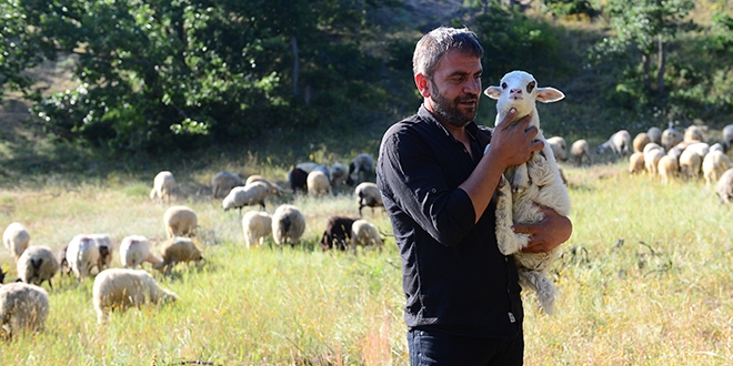 Belediyedeki kadrosunu bırakıp köyünde hayvancılığa başladı