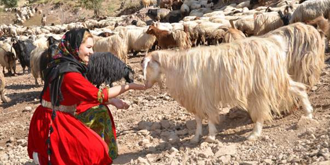 Yüksekova'da mutlu bir köy öğretmeni: Alime Taşcı