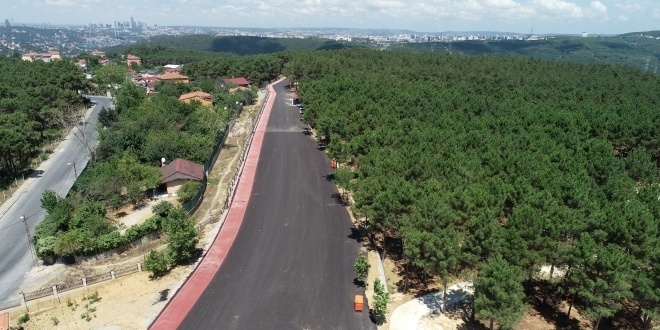 İstanbul'un en büyük mesire alanı açıldı