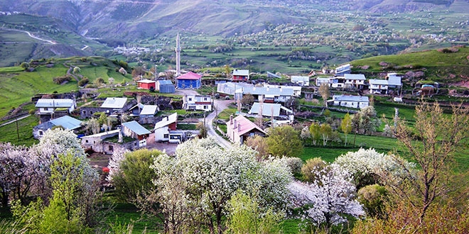 Bu ilin ilçelerinde Müftü, bu ilçesinin köylerinde imam yok