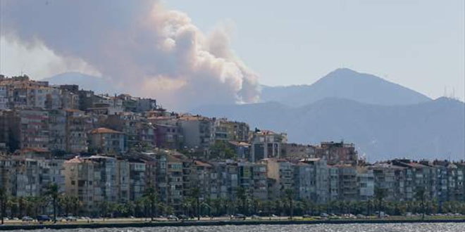 İzmir'de orman yangını çıktı