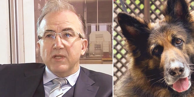 Köpek cinayetini ABD'li şirket affetmedi