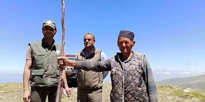 Dağlar, orman muhafaza memurlarına emanet