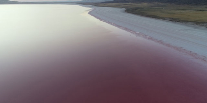 Pembe renge bürünen Tuz Gölü, ilgi odağı oldu
