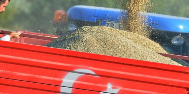 Buğday stokçusuna TMO engel olacak