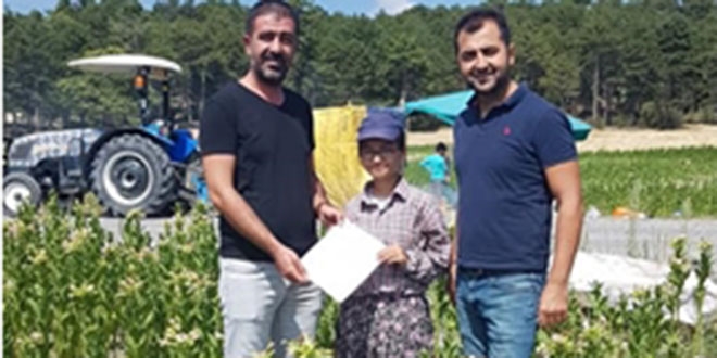 Fen Lisesini kazandığını tütün tarlasında öğrendi