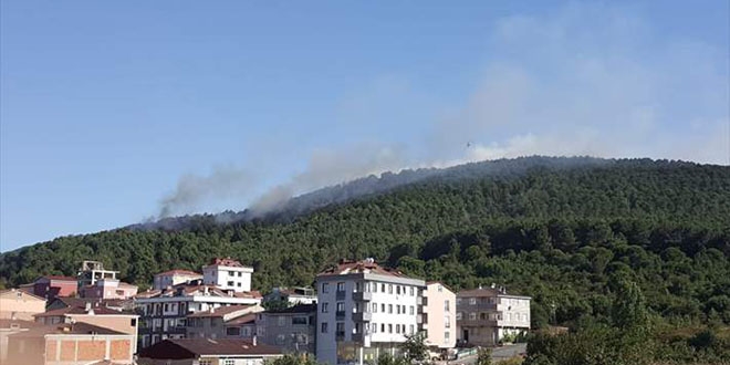 Aydos Ormanı'ndaki yangına müdahale ediliyor