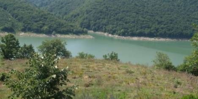 11 milyon metrekare Hazine arazisi ağaçlandırma için kiraya verildi