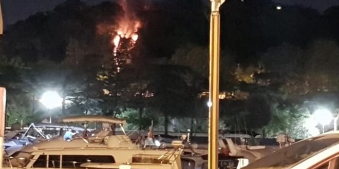 Emirgan Korusu'nda korkutan yangın