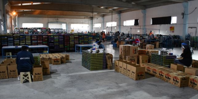Devlet desteğiyle fabrika kurdu, istihdama katkı sunuyor