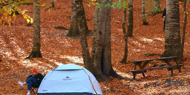 Ilgaz Da Milli Park'nda kamp alanlar belirlenecek