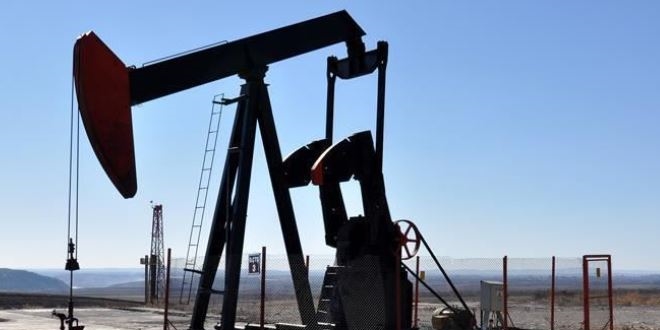TPAO'ya 4 petrol arama ruhsatı verildi