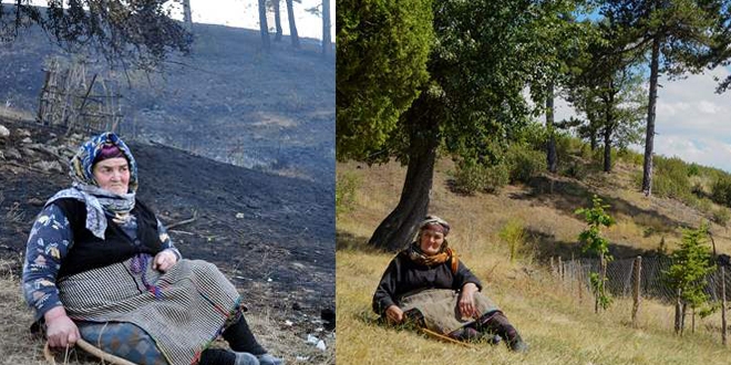 Firdevs ninenin gözyaşı döktüğü yanmış ağaçların yerinde fidanlar yeşeriyor