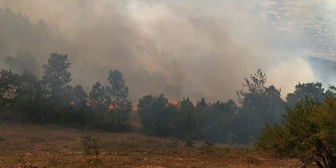 Adana'da orman yangn yerleim yerlerini tehdit ediyor